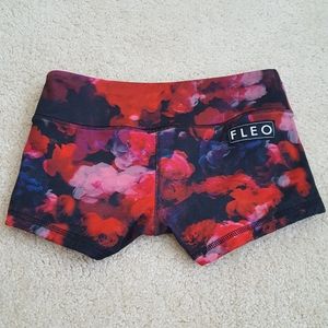 Fleo Dark Red Roses